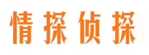 康县情探私家侦探公司